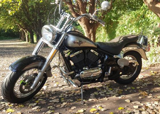 KAWASAKI VULCAN 800 CLASSIC 